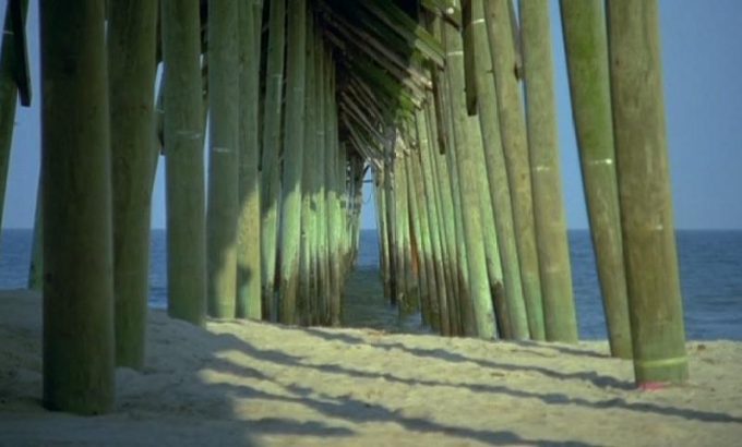 海龟