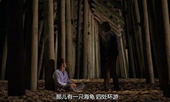 海龟
