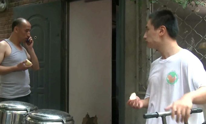 迷鸟