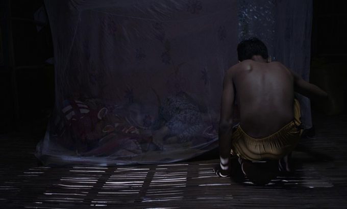 支流人生