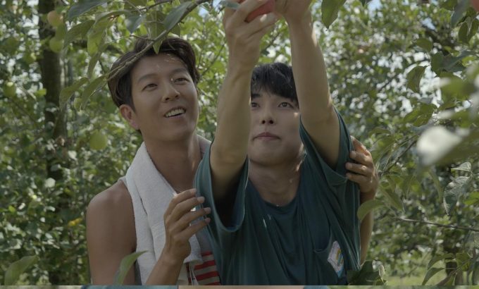 不止暧昧