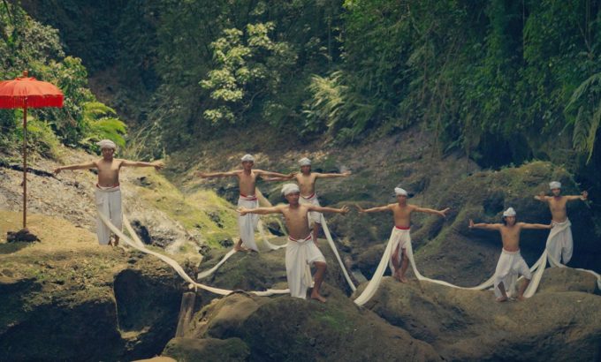 鸡蛋花开的那刻