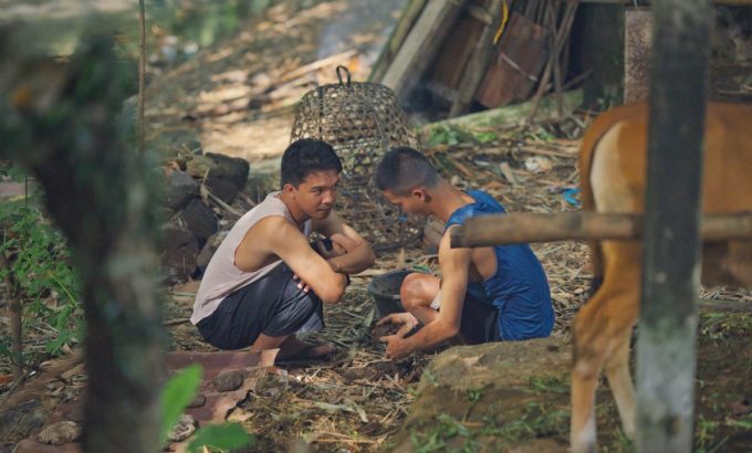 鸡蛋花开的那刻